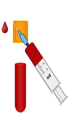 vector